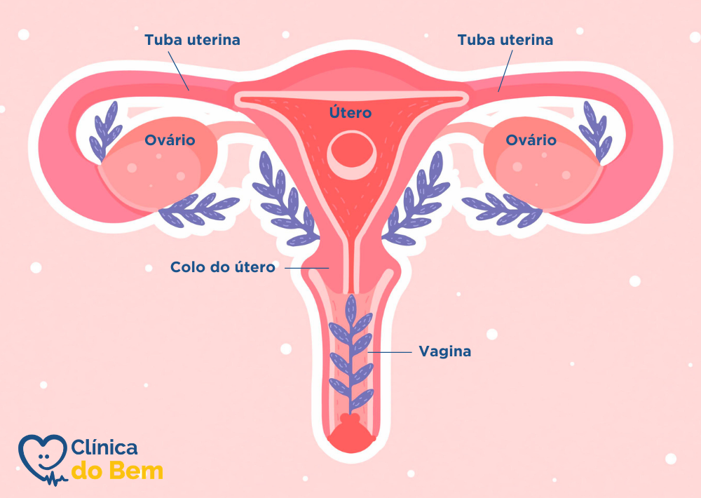 Sop menstruação desregulada